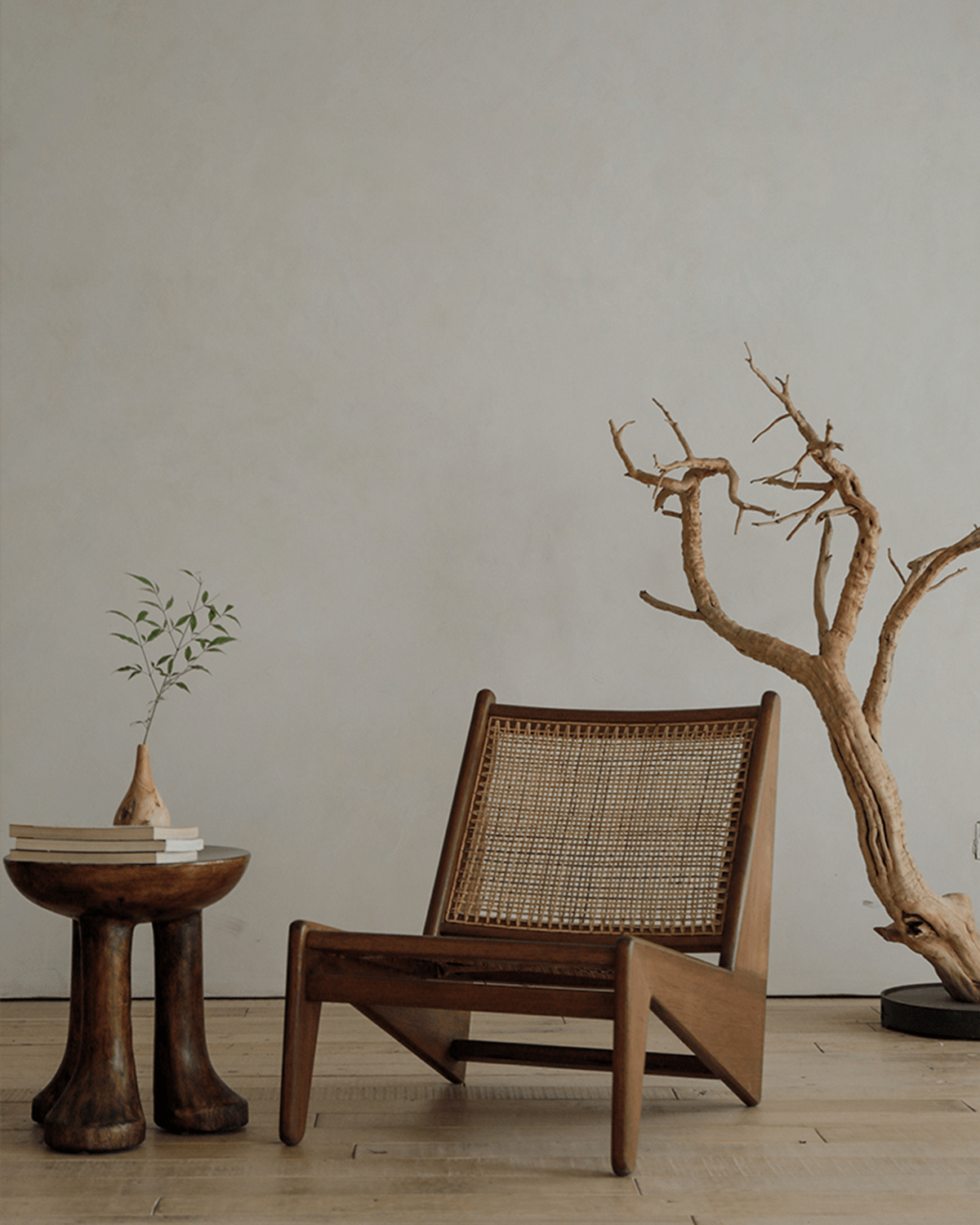 Fauteuil kangourou Chandigarh